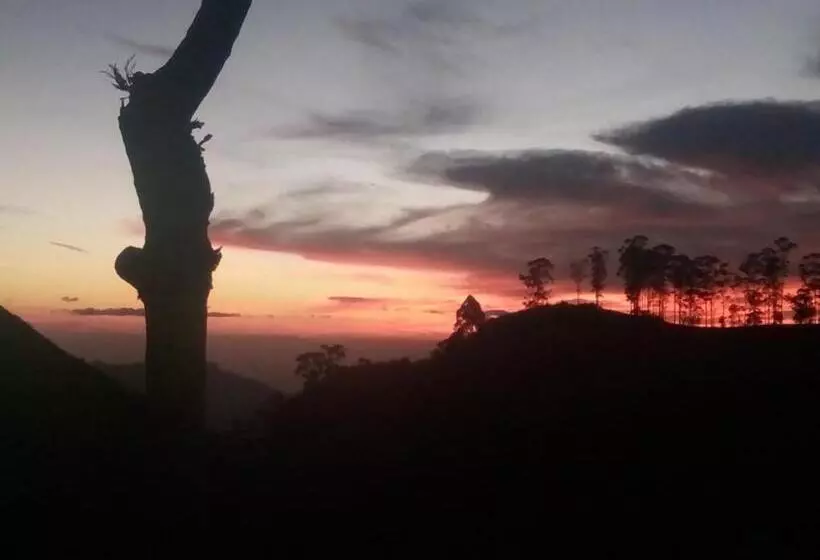 ユースホステル Sa Rest Inn