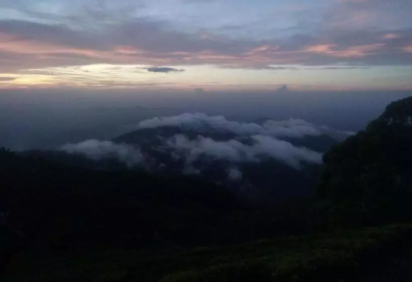 ユースホステル Sa Rest Inn