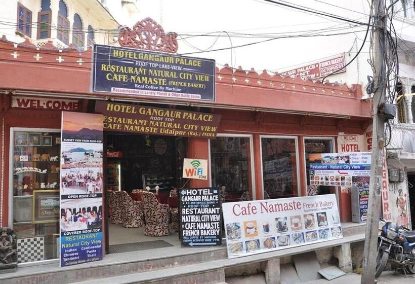 Hôtel Gangaur Palace