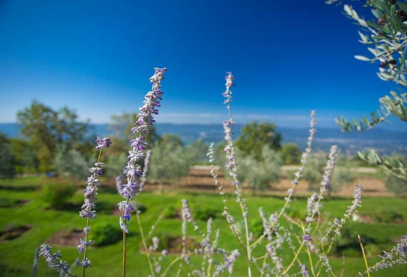 בית מלון כפרי Odina Agriturismo