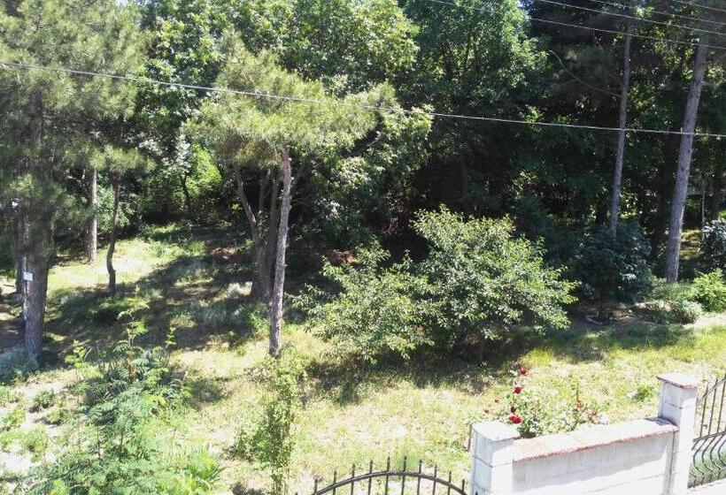 هتل Stefan Family