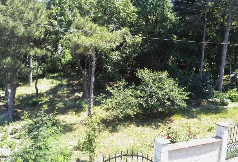 هتل Stefan Family