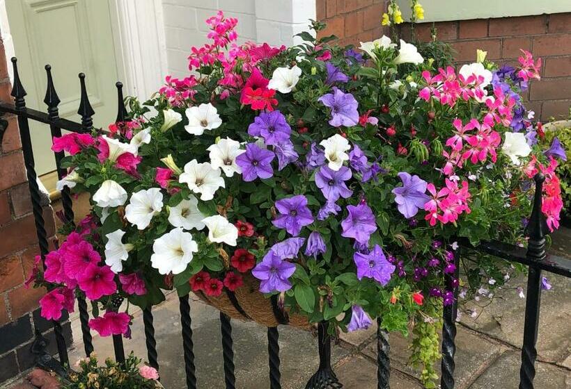 بنسيون Carlton Guest House