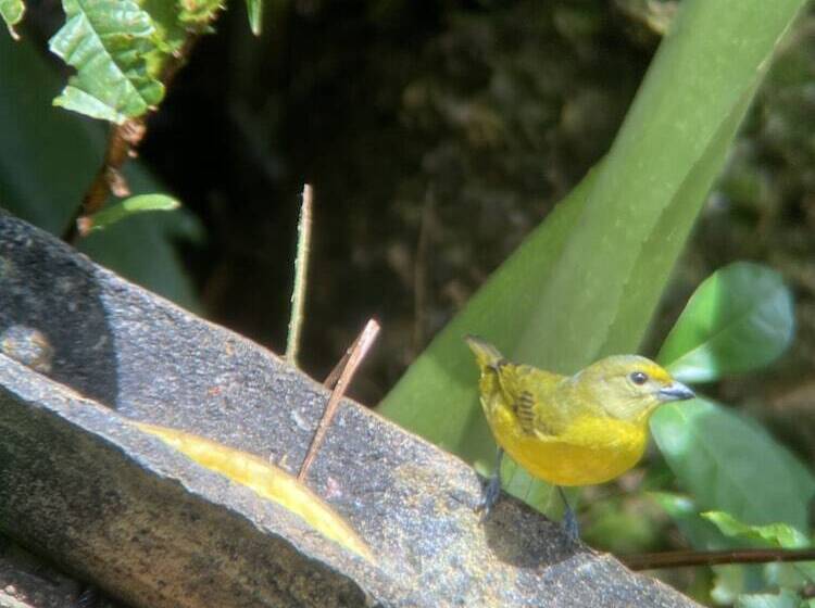 פנסיון Casa Aiti