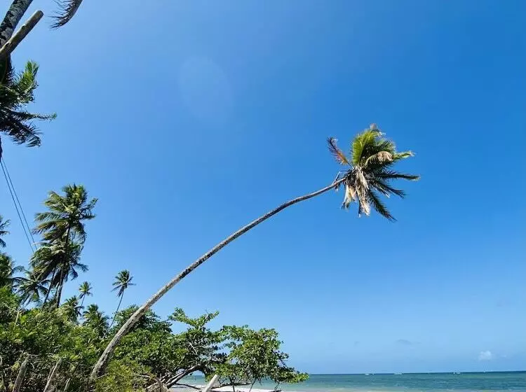 ペンション Casa Aiti