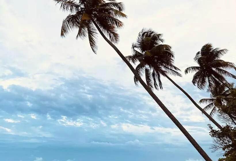 ペンション Casa Aiti