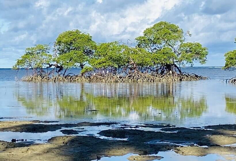 פנסיון Casa Aiti