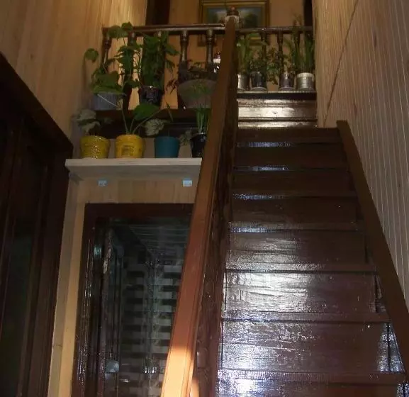 پانسیون Downtown Guest House