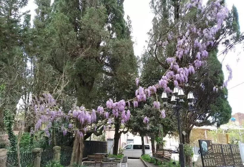 پانسیون Downtown Guest House