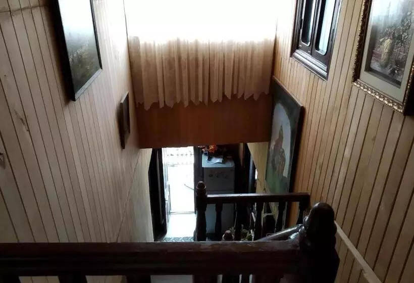 پانسیون Downtown Guest House