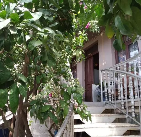 پانسیون Downtown Guest House