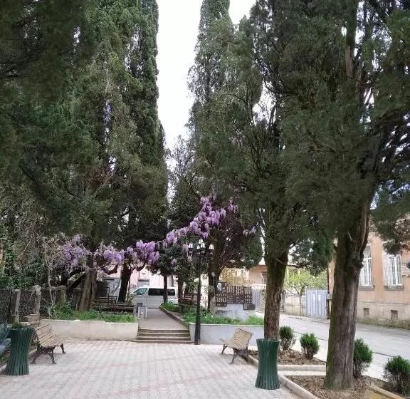 پانسیون Downtown Guest House