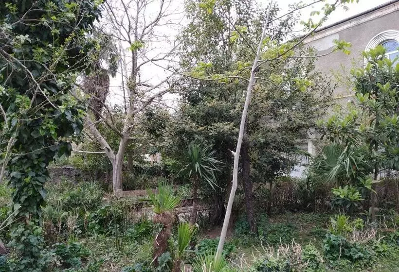 پانسیون Downtown Guest House