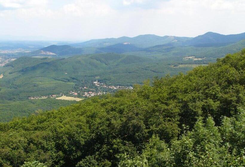 بنسيون Fenyő Vendégház