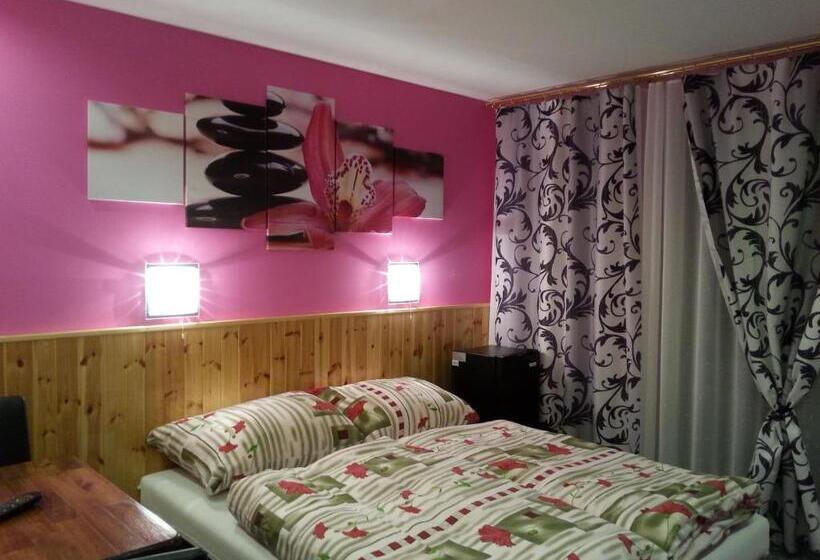 פנסיון Penzion Pod Boubínem