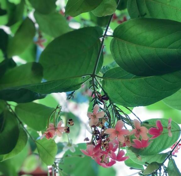 پانسیون Pousada Casa Grande