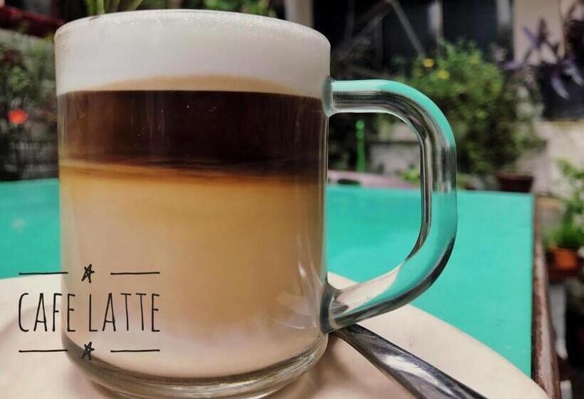 Panzió Silver Moon Guest House