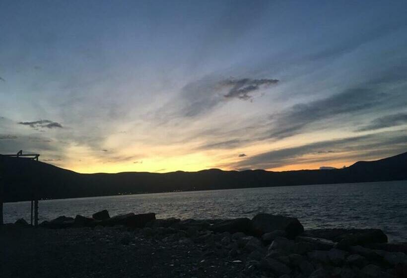 ペンション Villa Elvis Guesthouse