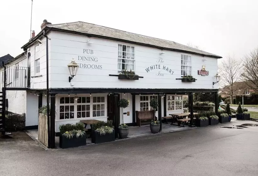 Hotelli The White Hart