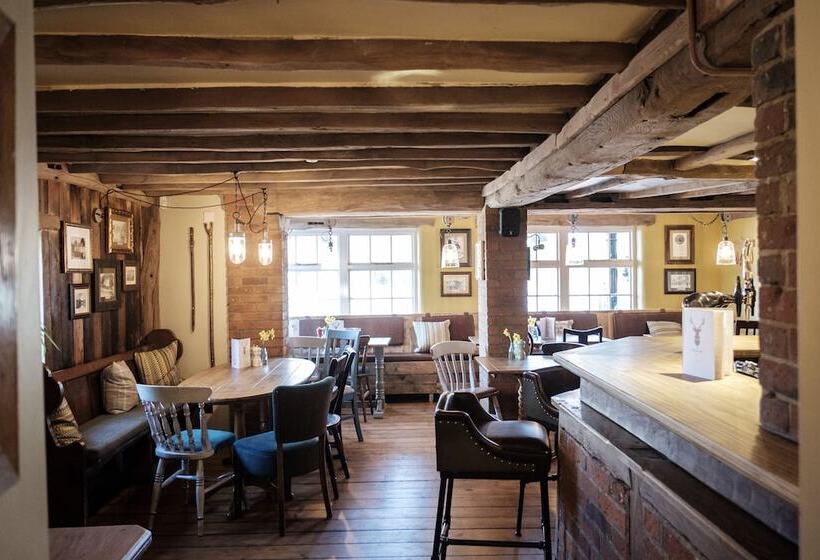 酒店 The White Hart