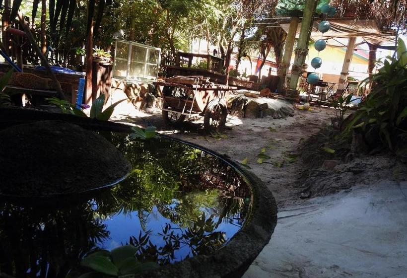 هاستل Spicy23   M  Pai Bay