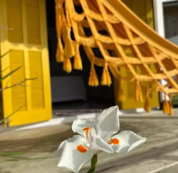 ペンション Cabanas Villa Del Mar