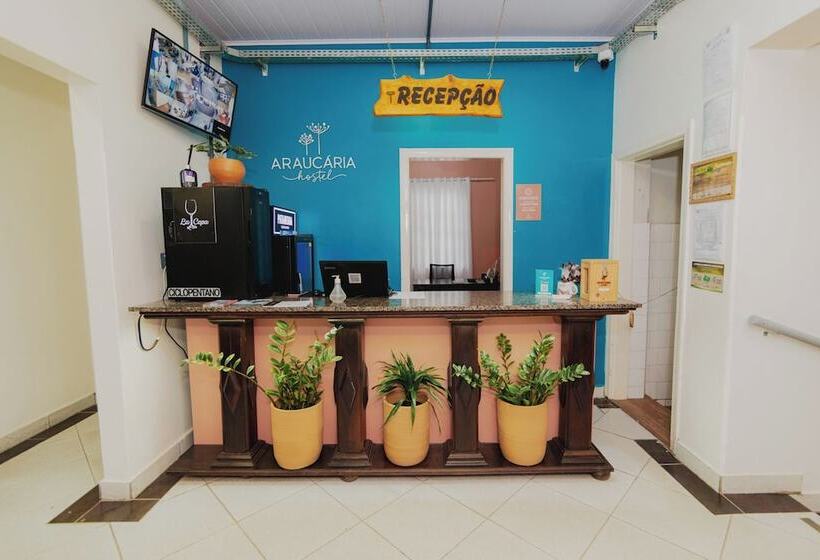 Araucária Hostel E Pousada