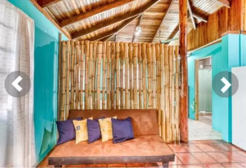 تختخواب و صبحانه Most Animal Friendly Place On Earth Casa Geraldo