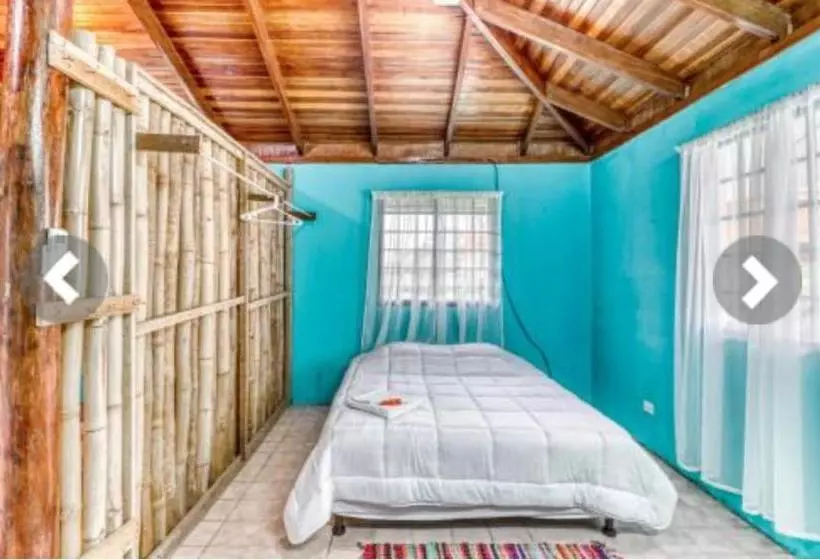 تختخواب و صبحانه Most Animal Friendly Place On Earth Casa Geraldo
