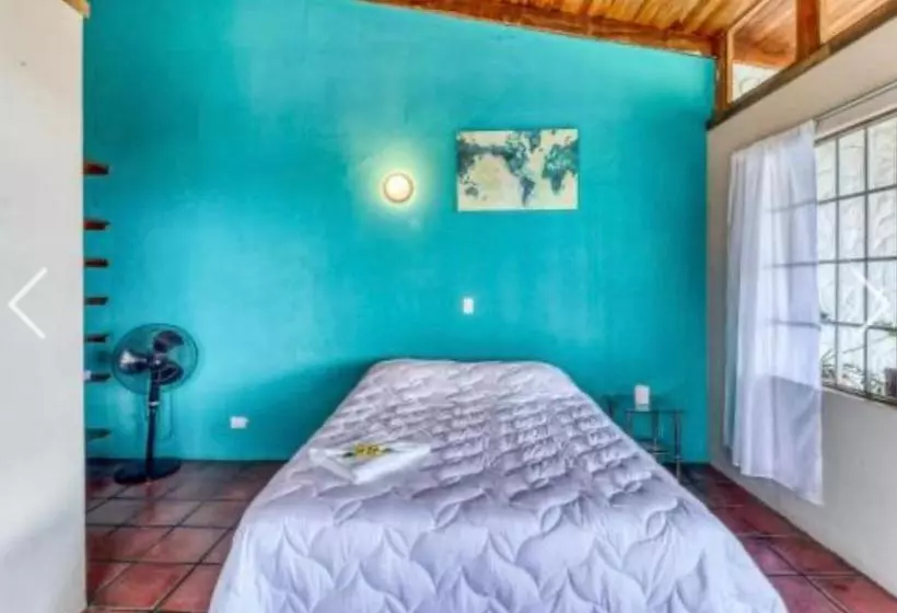 تختخواب و صبحانه Most Animal Friendly Place On Earth Casa Geraldo