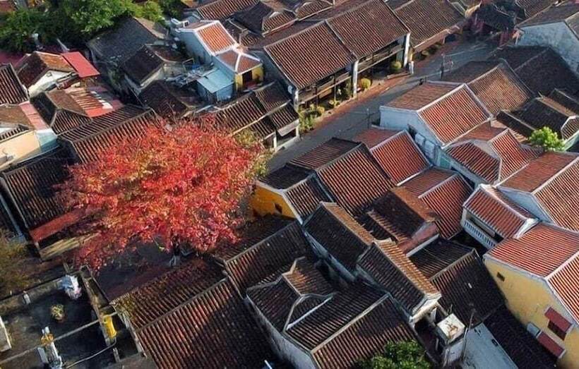 تختخواب و صبحانه Hoian Royal Villa