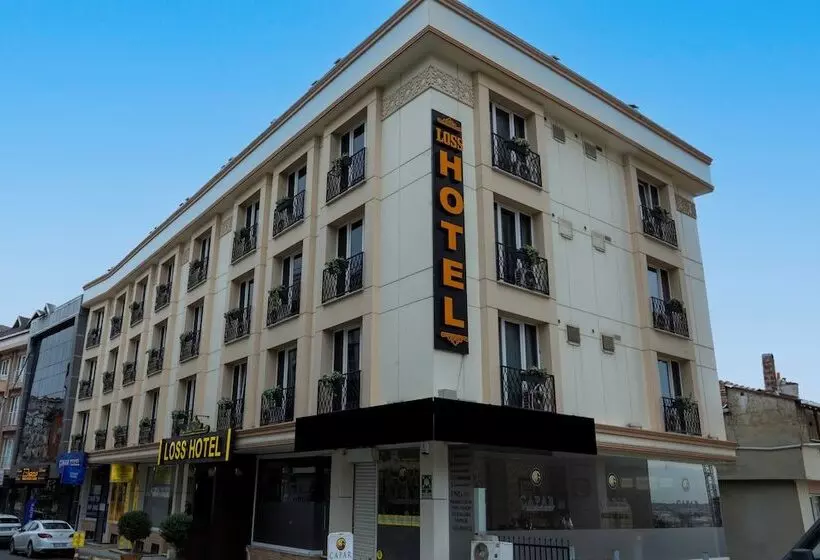 Aamiaismajoitus (B&B) Loss