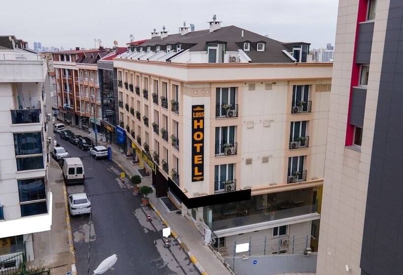 住宿加早餐  Loss