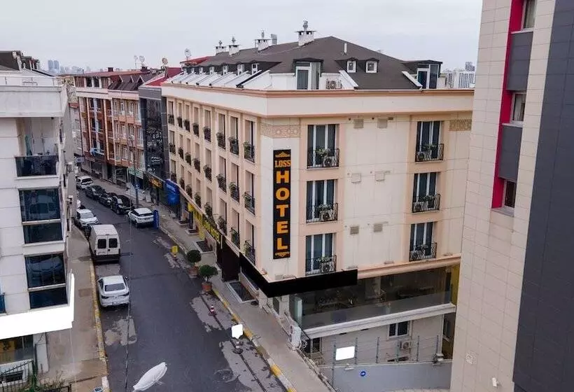 Aamiaismajoitus (B&B) Loss