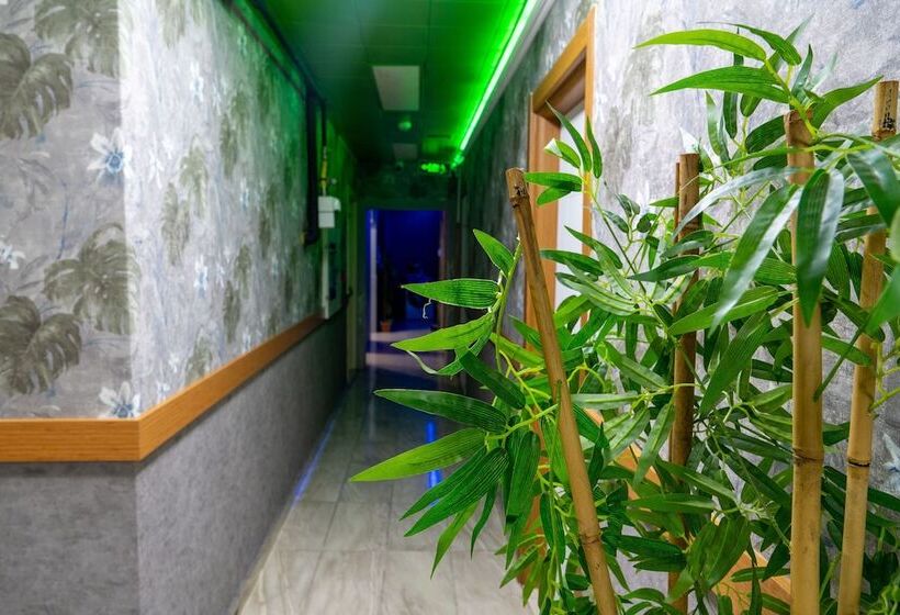 住宿加早餐  Loss