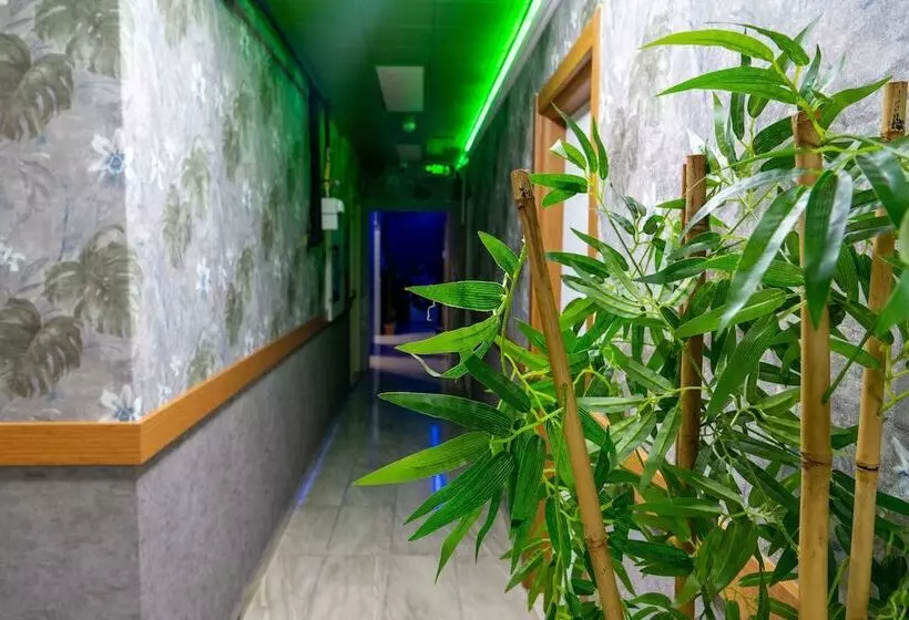 Aamiaismajoitus (B&B) Loss