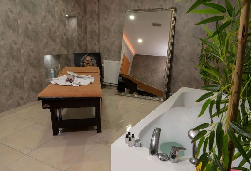 住宿加早餐  Loss