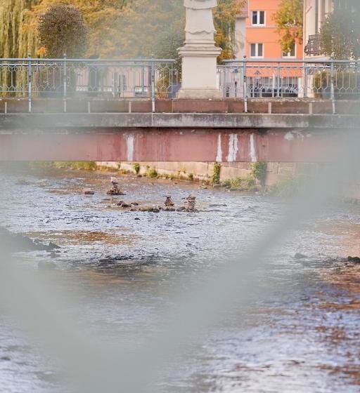 Hotel Gästehaus Lauergasse39