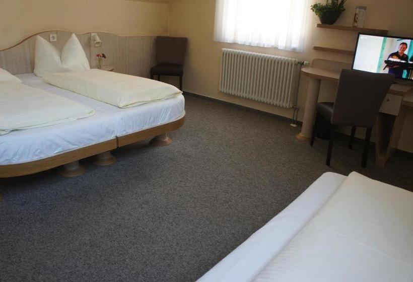 Hotel Gästehaus Lauergasse39