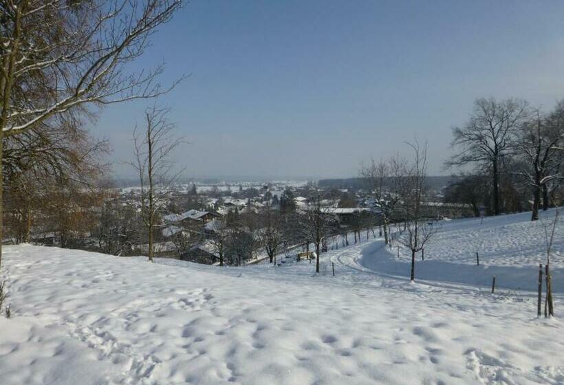 Hotelli Wachingerhof