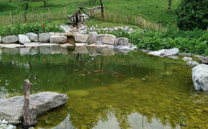 Hotelli Wachingerhof