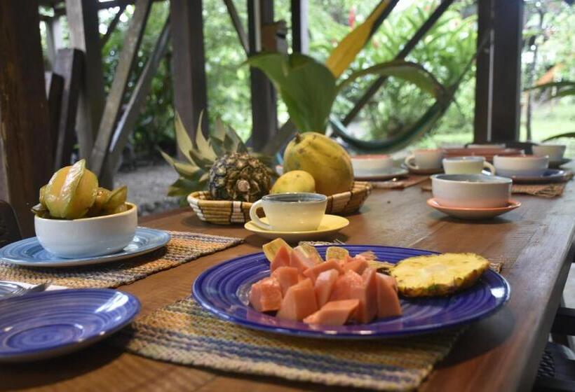 Bed and Breakfast La Tarima Del Colibri Ecolodge