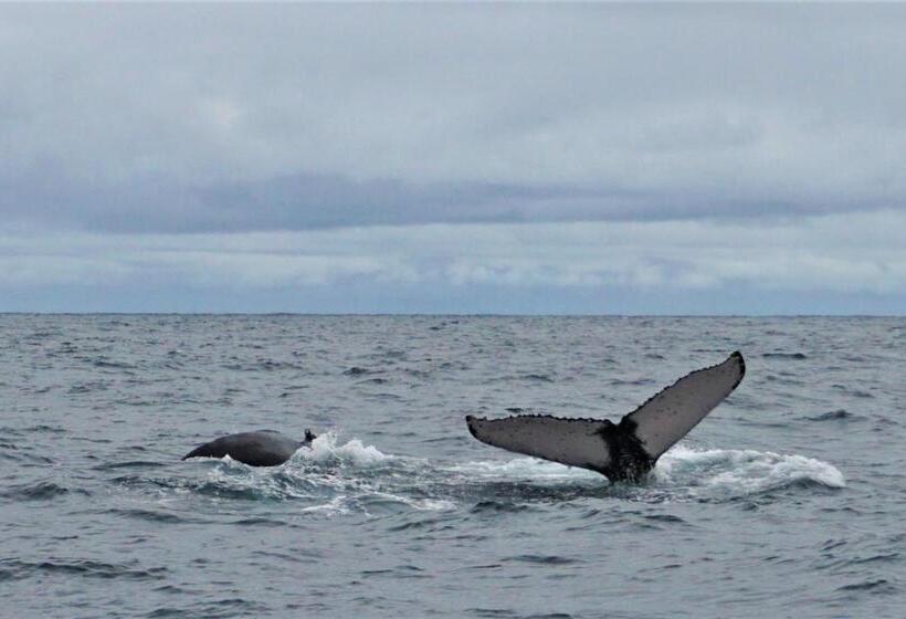 Bed and Breakfast La Tarima Del Colibri Ecolodge