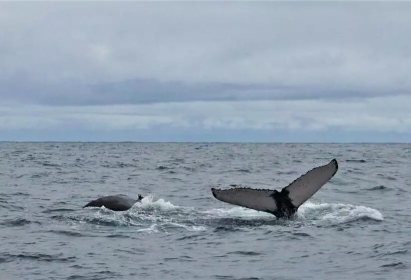 ベッドアンドブレックファースト La Tarima Del Colibri Ecolodge