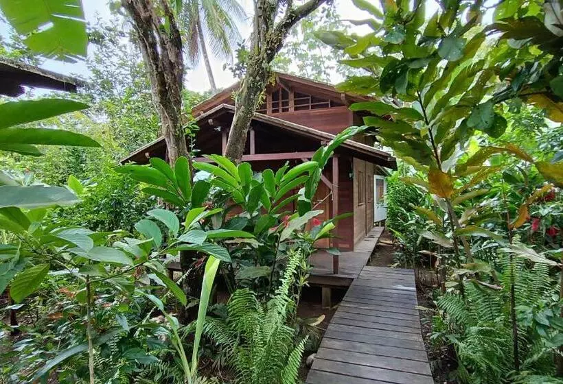 ベッドアンドブレックファースト La Tarima Del Colibri Ecolodge