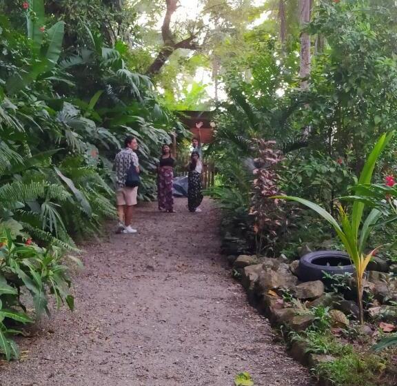 Bed and Breakfast La Tarima Del Colibri Ecolodge