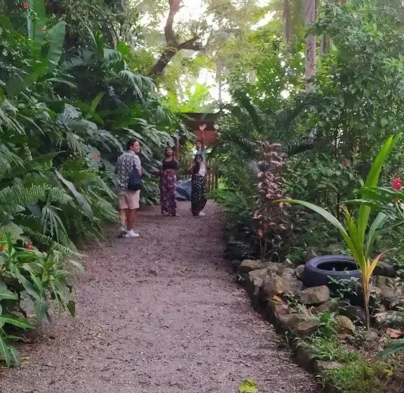 ベッドアンドブレックファースト La Tarima Del Colibri Ecolodge