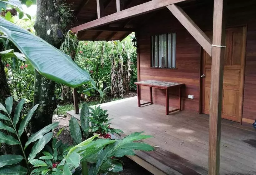 ベッドアンドブレックファースト La Tarima Del Colibri Ecolodge