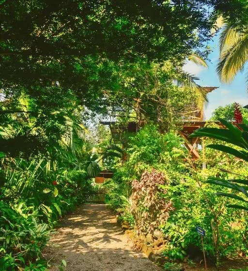 ベッドアンドブレックファースト La Tarima Del Colibri Ecolodge