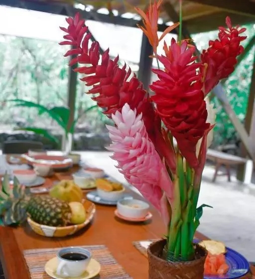 ベッドアンドブレックファースト La Tarima Del Colibri Ecolodge